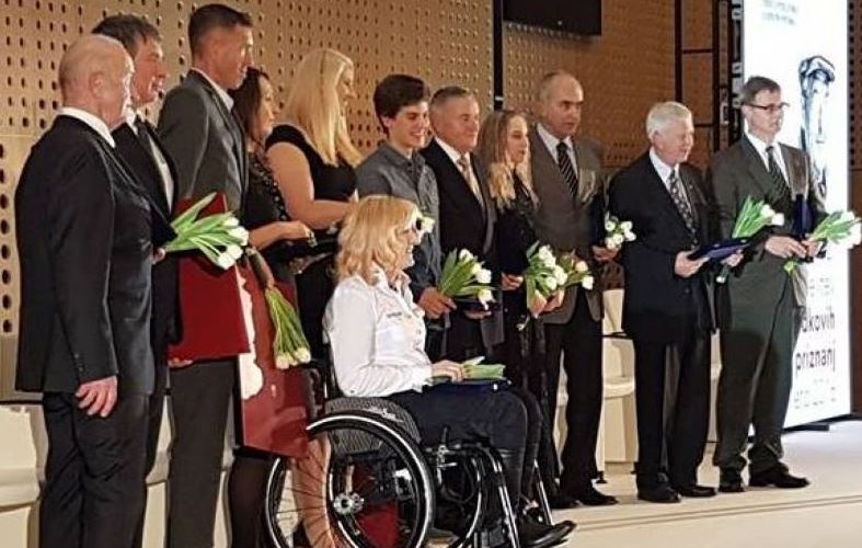 dpik 11veselka 2017